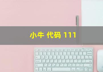 小牛 代码 111